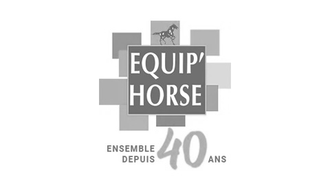 Equip Horse